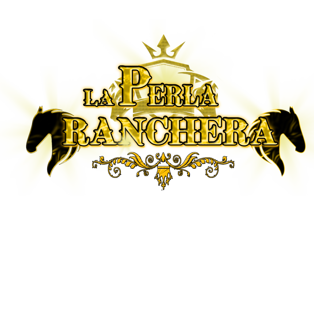 logo final png